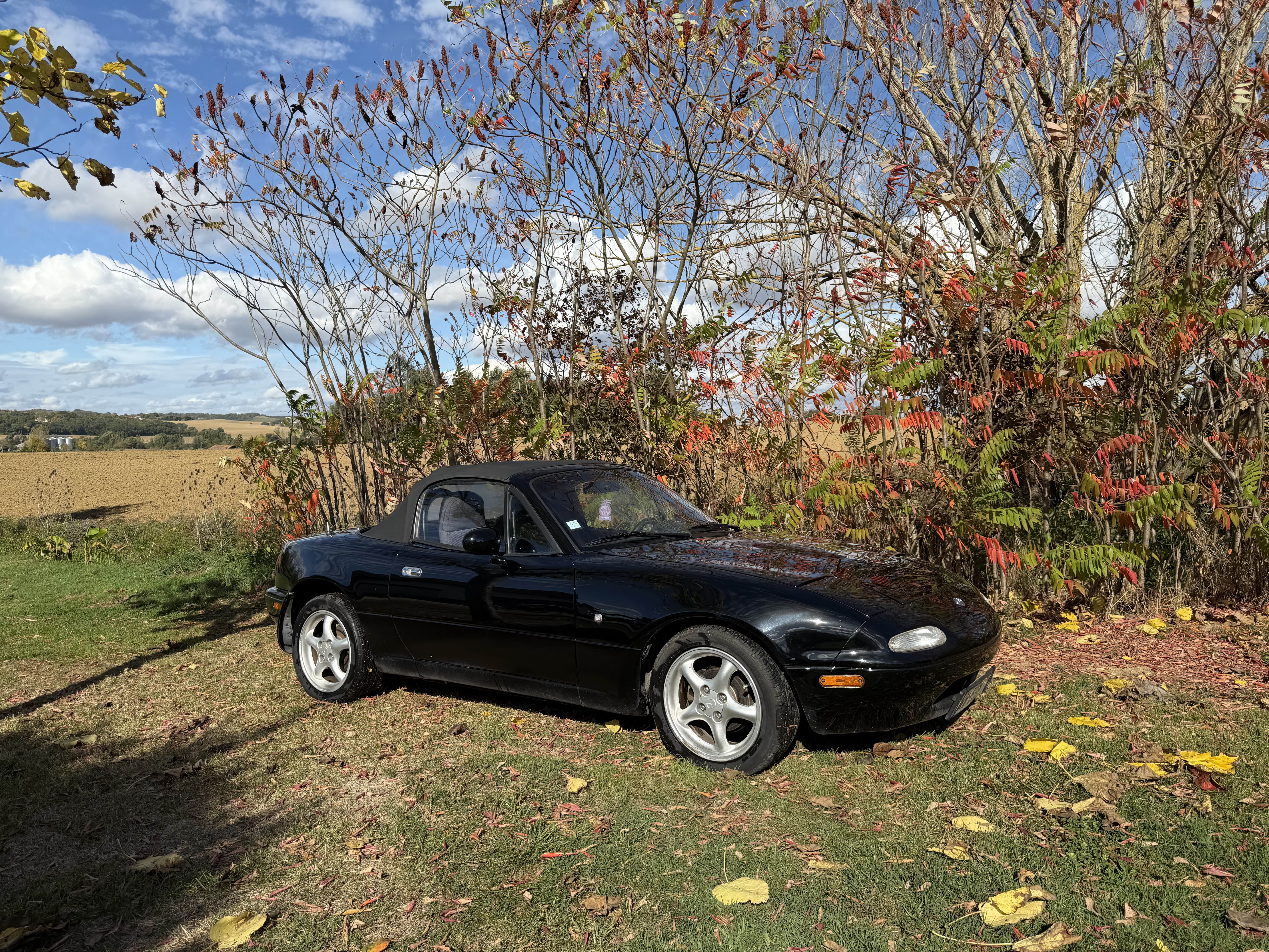 Mazda MX-5 1995